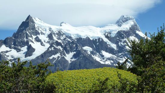 Torres del Paine N.P. - Der Frances Glacier in seiner ganzen Schönheit