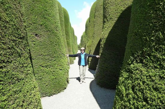 Punta Arenas  - Die Orgelpfeifenallee auf dem Friedhof