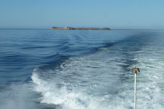 Punta Arenas  -  Wir verlassen die Insel Magdalena und damit auch Chile. Es war schön und aufregend zugleich. Wir haben wieder viele neue Erkenntnisse gewonnen und liebenswerte Menschen kennen gelernt.