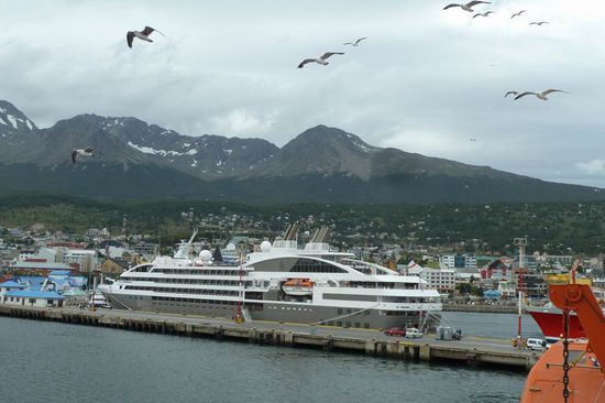 Abschied von Ushuaia - Die Vögel fliegen mit uns.....