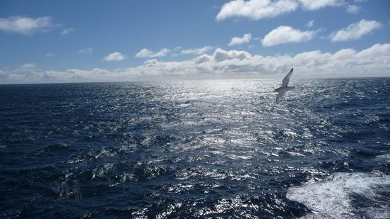 Drake Passage 2. Tag