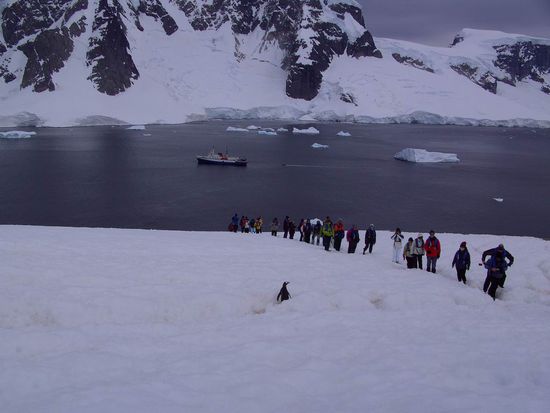 Antarktis - Neko Harbour - Hier betreten wir erstmals das antarktische Festland. Es geht steil bergauf...