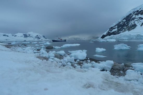 Antarktis - Auf dem Weg zu Anvers Island