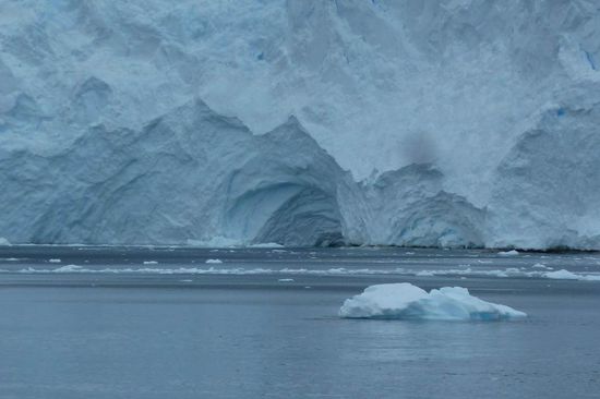 Antarktis - Eisberge auf dem Weg zur Palmer Statio