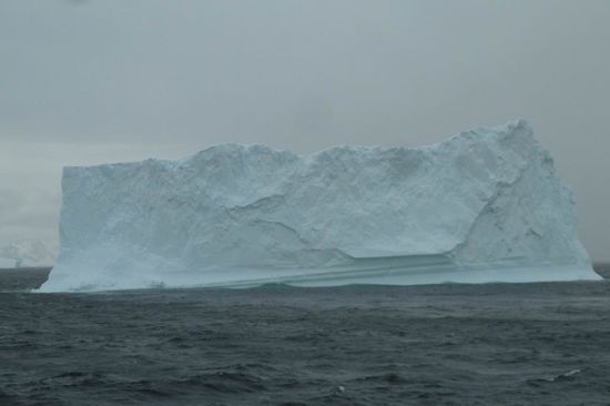 Antarktis - ....solche Kavenzmänner kommen einem entgegen. Wir waren schwer beeindruckt.