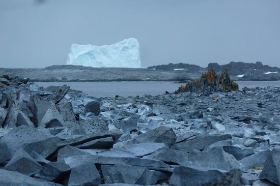 Antarktis - Diese Kombination hat uns gut gefallen....