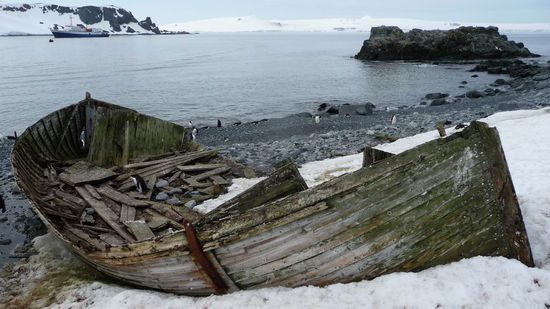 Antarktis - Strandgut auf Half Mond Island unserer letzten Anlandung. Es war einmal ein Schiff......