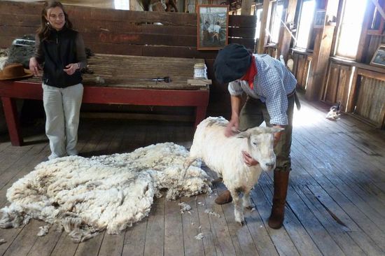 El Calafate - ....fühle mich ziemlich nackt, aber doch erleichtert