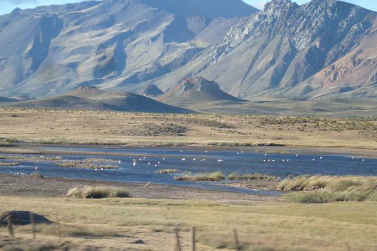 Ruta 40 - Impression unterwegs