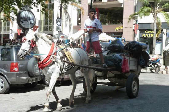 Montevideo - ...so sieht hier die Müllabfuhr aus! Mit einem Pferdewagen wird der Abfall abgeholt. Sehr ungewöhnlich!