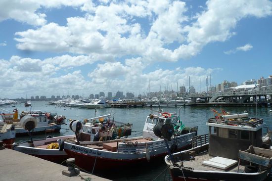 Punta del Este - Der Hafen mit seinen vielen Jachten und Fischerbooten.