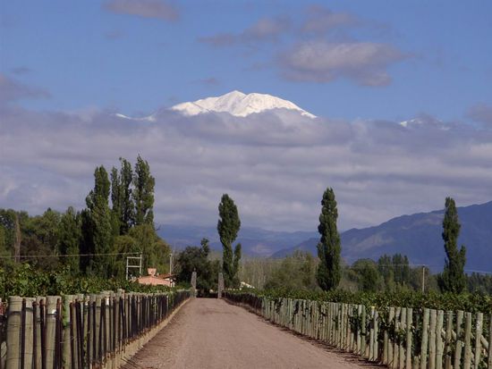 Mendoza - ....die Einfahrt zum ersten Weingut.