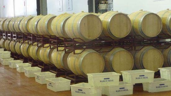 Mendoza - Hier ruht der Rebensaft in Holzfässer aus Frankreich