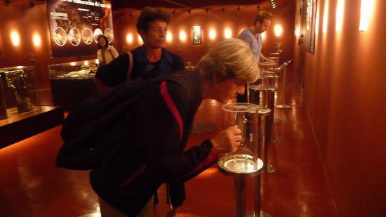 Mendoza - Birgit, Yvonne und Greg im Aromaraum. 46 verschiedene Düfte können erschnüffelt werden.