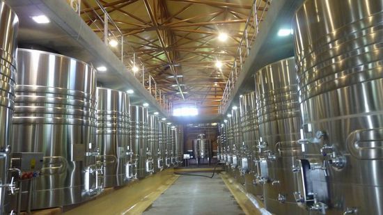 Mendoza - Weintour - In diese riesigen Tanks kommt der Rebensaft zuerst rein.