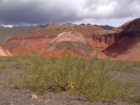 Salta - 3. Ausflugstag - Cafayate - ..und wieder ein imposanter Gebirgszug. Das Farbenspiel ist einmalig schön.
