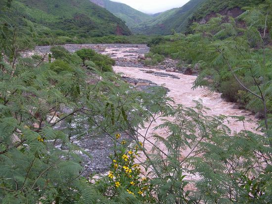 Salta - 4. Ausflugstag - Cachi - Tiefgrüne Wälder säumen das Flussufer