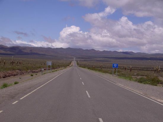 Salta - 4. Ausflugstag - Cachi - ...immer noch im Kakteen-Nationalpark auf der berühmten Ruta 40