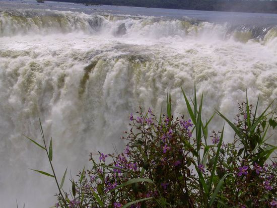 Iguazu 1. Tag - ..hier läßt sich die Gewalt des Wassers schon erahnen.
