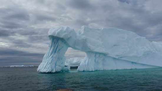 Favarit Nr. 1 - Die Antarktis