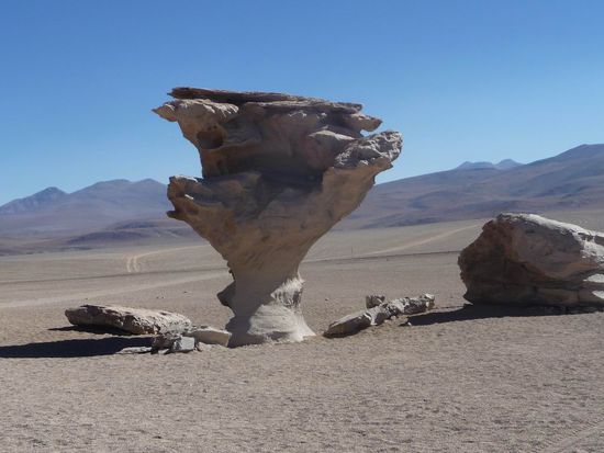 Favorit Nr. 4 - Salar de Uyuni - Baum aus Stein mitten in der Wüste