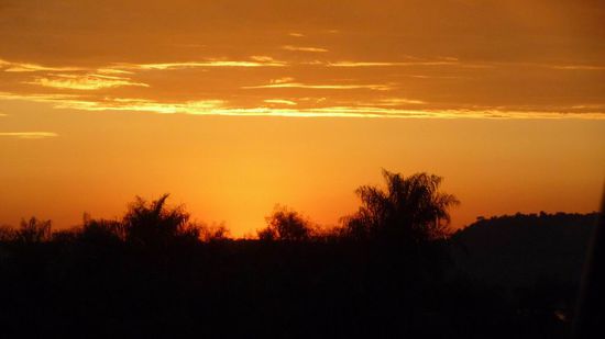 ....und so wünschen wir uns den Sommer 2011 zuhause!
Herzliche Grüße Eure Irene und Birgit