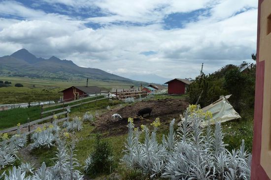 Blick auf die Öko Ranch