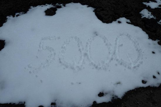 ...schade, das hätte es werden sollen!