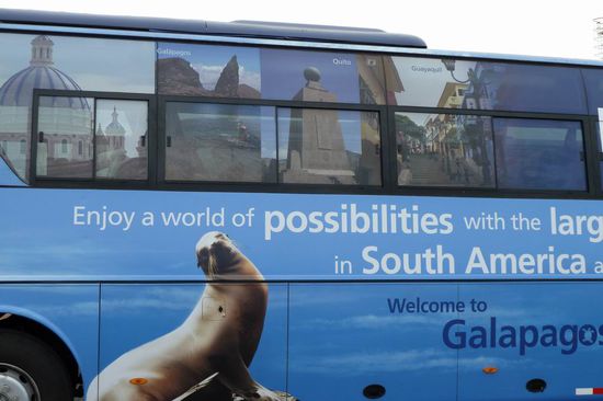 Ankunft und Weiterfahrt nach Puerto Ayora auf Santa Cruz