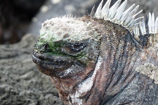 Spieglein, Spieglein an der Wand.... Wer ist die Schoenste im ganzen Land??...