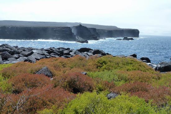 Eine der Galapagos-Impressionen. Steile Felsenkueste mit starker Brandung.