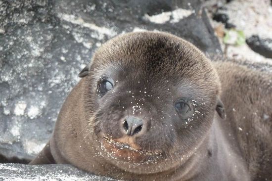 ....na, was haelt das Leben fuer mich wohl noch alles bereit??? Jedenfalls neugierig bin ich schon.....