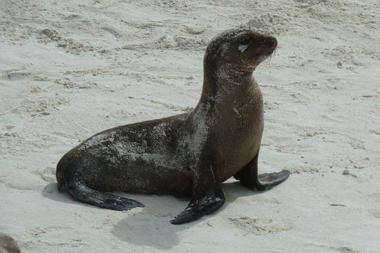 ...ich will mal genauso gross und stattlich werden wie mein Papa!