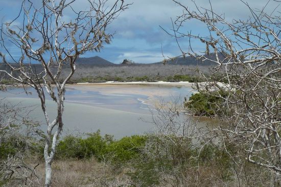 Die Flamingos haben diese Lagune auf der Insel Espaniola fuer immer verlassen. So auch wir und deshalb: Adios Galapagos!