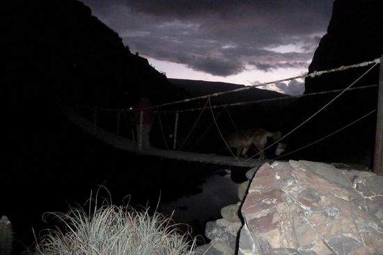 Colca Canyon - die Hängebrücke, die mir soviel Bauchschmerzen bereitet hat