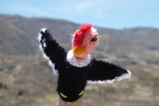 Colca Canyon - "Ich bin auch ein Kondor - aber ein selbstgestrickter.
Bin ich nicht schöööööön? Birgit kann mich nicht so gut leiden, aber Irene um so mehr. Ich bin jederzeit zur Stelle! Wann immer ihr einen Kondor sehen wollt. Und jetzt bin ich auch noch ein Star, weil mich die ganze Welt im Internet sehen kann, uuuuuiiiiihhhh."