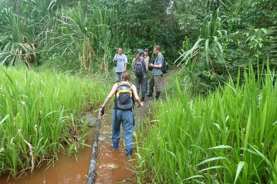 Manu N.P. - Dschungelerlebnis auf schmalen Pfaden