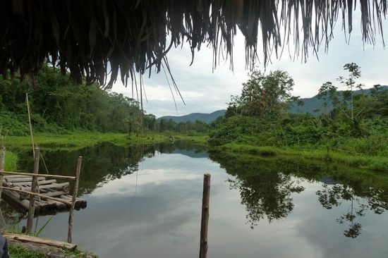 Manu N.P. -  ....und still ruhet der See. Hier fuhren wir mit dem Stocherkahn langsam dahin und konnten ein paar Vögel beobachten.