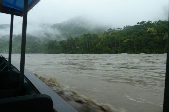 Manu N.P. - ...so wild war der Fluss am Abereisetag. Jetzt kann ich mir vorstellen, was es bedeutet, wenn an der Elbe Hochwasser ist und ganze Dörfer von den Wassermassen mitgerissen werden. Das war schon unheimlich, diese Kraft und Gewalt zu erleben.