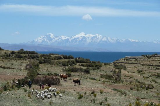 Titicacasee - Isla del Sol - Nordspitze mit schneebedeckten Bergen im Hintergrund