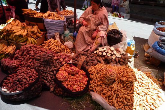 La Paz - Das ist nur eine kleine Auswahl von Kartoffeln der unterschiedlichsten Art und Farbe.