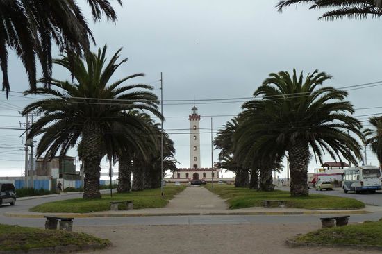 La Serena - Der Leuchtturm am Hafen - die Strasse zum Leuchtturm ist mit einer Palmenallee gesäumt und mindestens 3 km lang