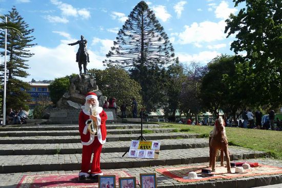 Valparaiso/Vina del Mar - ....auch hier ist der Nikolaus schon da und ein ganz natürlicher Tannenbaum auch.