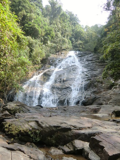Natur pur - Wasserfall mitten im Dschungel