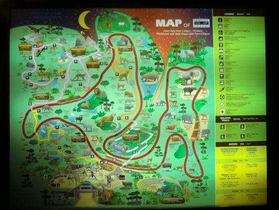 Ueberblick ueber die Nightsafari