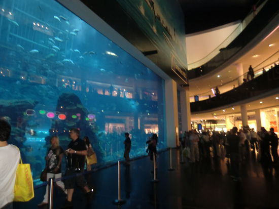 Meerwasseraquarium mitten in der Dubai Mall