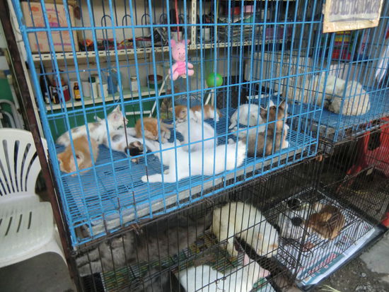 Hier die Tierabteilung...