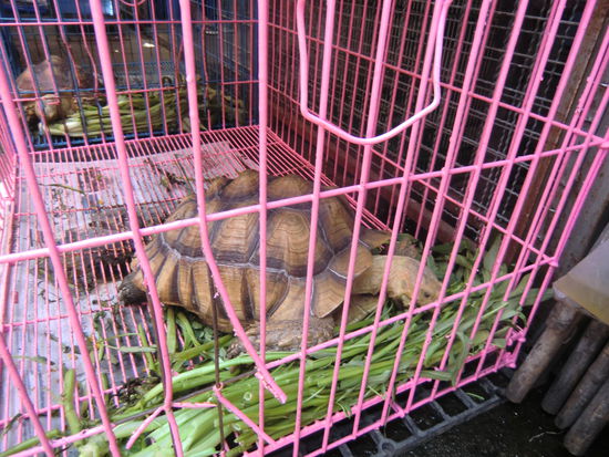 ...und die Mutter nebenan.