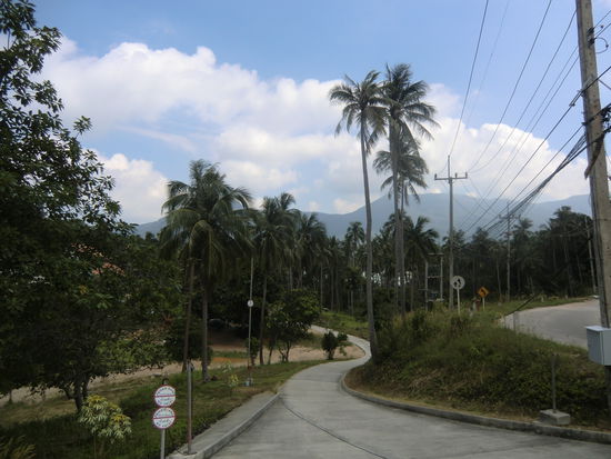 Strassen von Koh Phangan