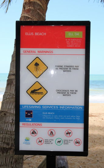 ... diese aufdringlichen Schilder überall wären. Offiziell ist noch keine Quallensaison, aber die Krokos sind ganzjährig unterwegs!